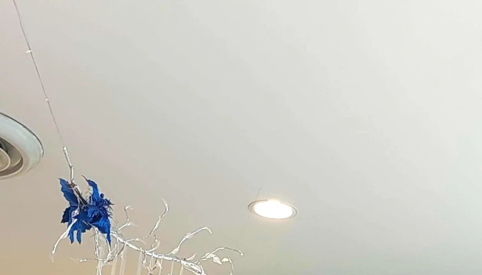 Subway -  Comentario 9 - Rivera