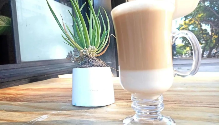 Suculenta -  Cafe - Montevideo