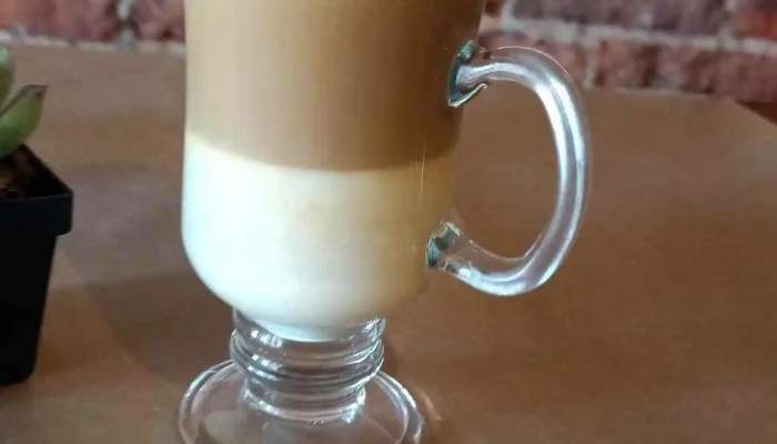 Suculenta -  Videos - Montevideo