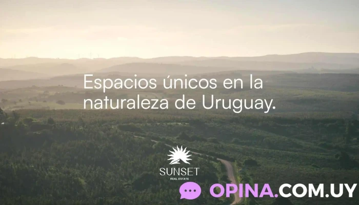 Sunset Real Estate -  Puntaje - Montevideo