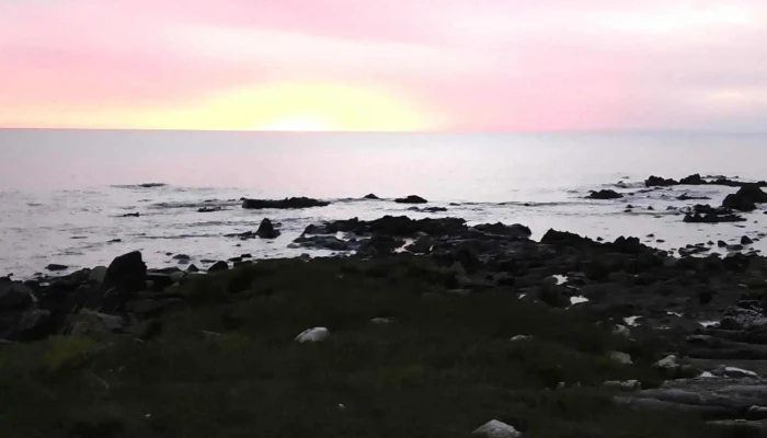 Super Edison -  Comentario 3 - Montevideo