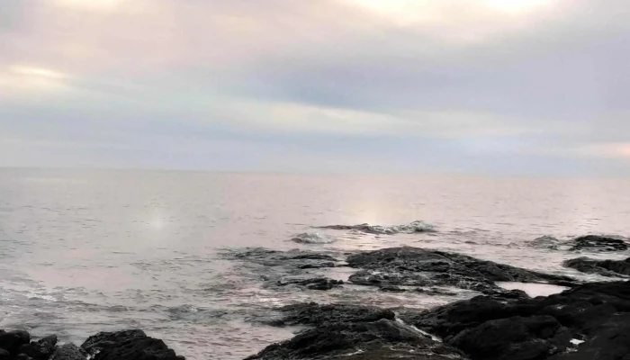 Super Edison -  Comentario 8 - Montevideo