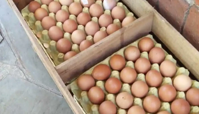 Super Milangas -  Comida Y Bebida - Montevideo