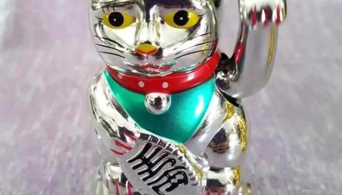 Super Unico Del Propietario - Minas