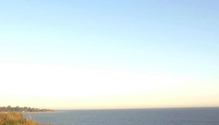 Supermercado Bachino -  Comentario 3 - La Floresta