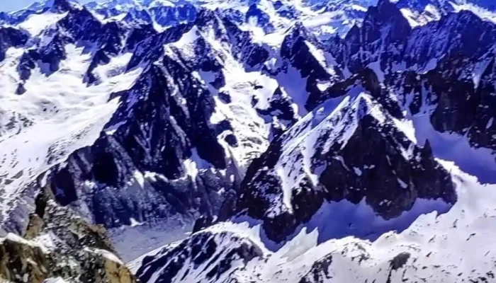 Supermercado -  Devoto Videos - Montevideo