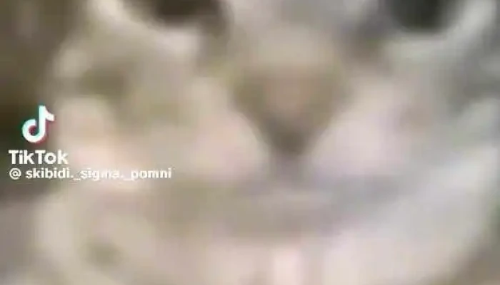 Supermercado Donato Express -  Interior - Pajas Blancas