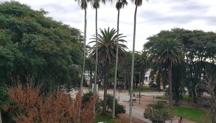 Supermercado El Paseo -  Comentario 7 - Santa Lucía