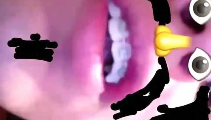 Supermercado Tico -  Videos - Montevideo