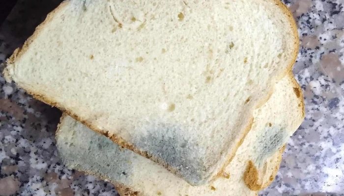 Supersol -  Comentario 8 - Montevideo