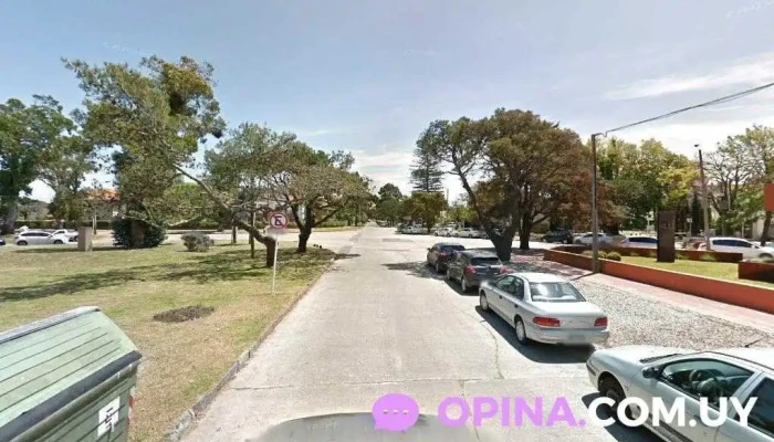 Sures Real Estate - Montevideo