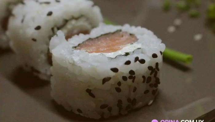 Sushi Art -  Todas - Florida