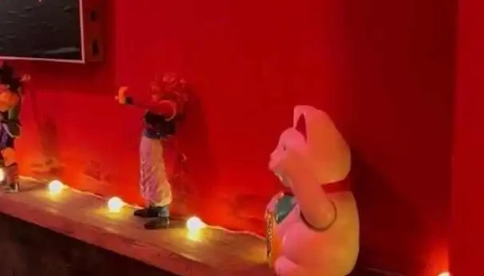 Sushi Life Colonia -  Videos - Col. del Sacramento