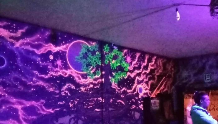 Swing Resto Bar Pool -  Comentario 5 - Montevideo