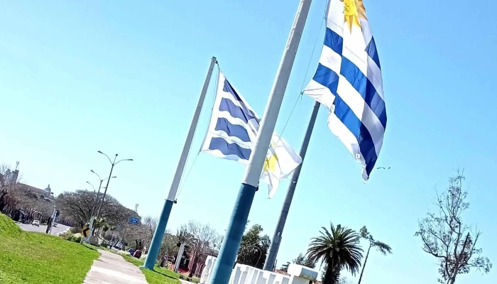 Ta -  Ta -  Comentario 6 - Ejido de Treinta y Tres