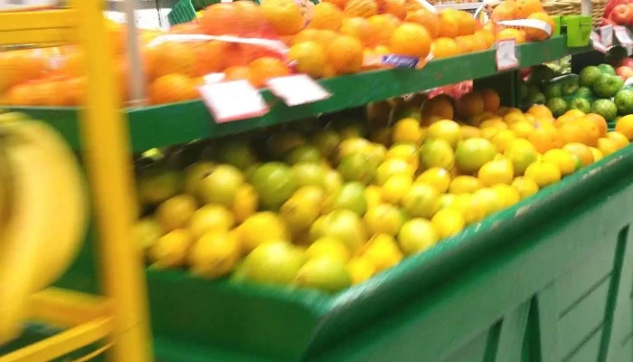 Ta-Ta La Blanqueada - 11400 Montevideo