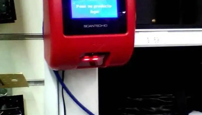 Ta -  Ta -  Videos - Rocha