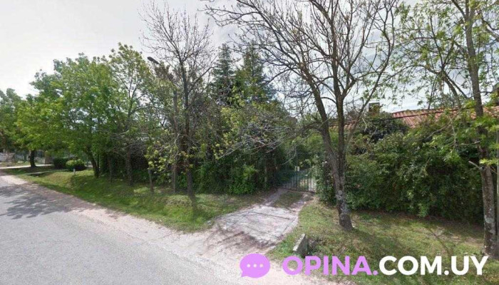 Talleres terapia ocupacional - Canelones