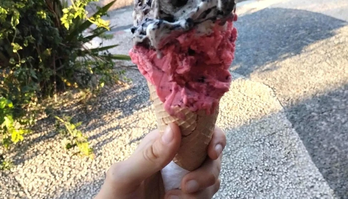 Tam -  Baru Comentario 1 - La Paloma