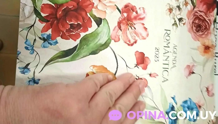 Tamborcito Lector -  Del Propietario - Progreso