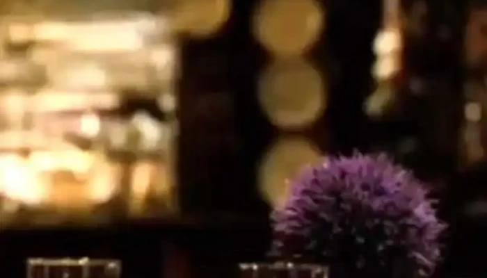 Tannat -  Del Propietario - Montevideo