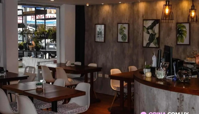 Tartanna -  Todas - Punta del Este