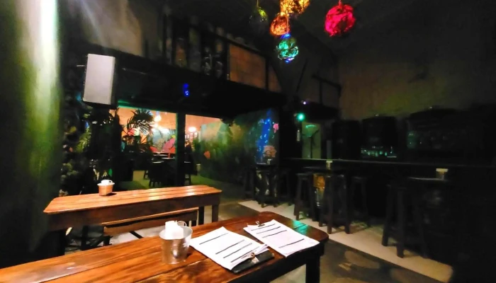 Tarzan Bier -  Ambiente - Maldonado