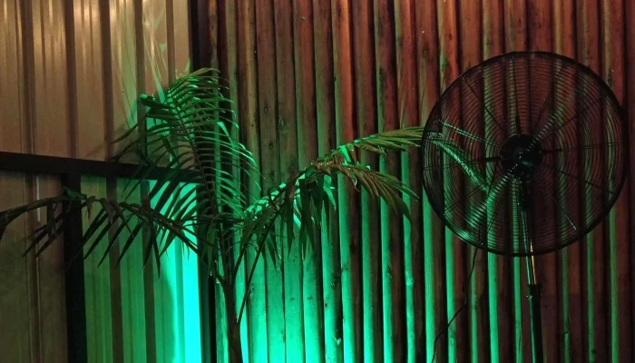 Tarzan Bier -  Comentario 7 - Maldonado