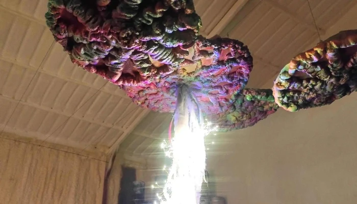 Tarzan Bier -  Comentario 9 - Maldonado