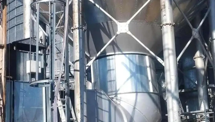 Tecnica Prevencionista Andrea Alves Del Propietario - Tomas Gomensoro