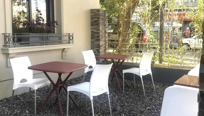 Telizzia Cat Cafe Ambiente - Montevideo