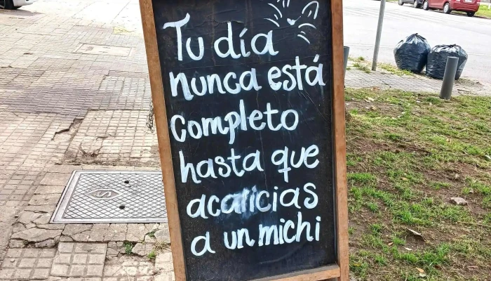 Telizzia Cat Cafe Comentario 1 - Montevideo