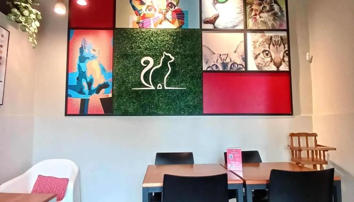 Telizzia Cat Cafe Comentario 2 - Montevideo