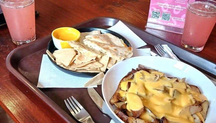 Telizzia Cat Cafe Comentario 3 - Montevideo