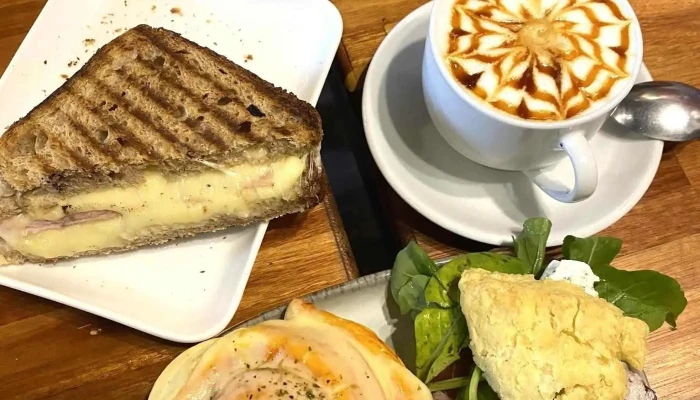 Telizzia Cat Cafe Recientes - Montevideo