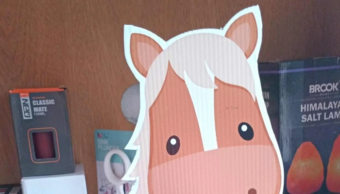 Tematik -  Direccion - Montevideo