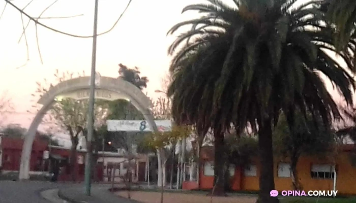 Tenientes De Artigas Y 21 De Setiembre -  Todo - Treinta y Tres