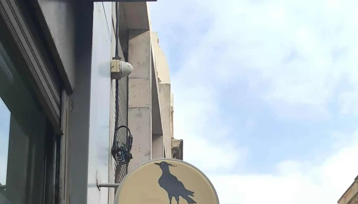 Tero -  Comentario 1 - Montevideo