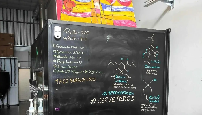 Tero -  Comentario 2 - Montevideo