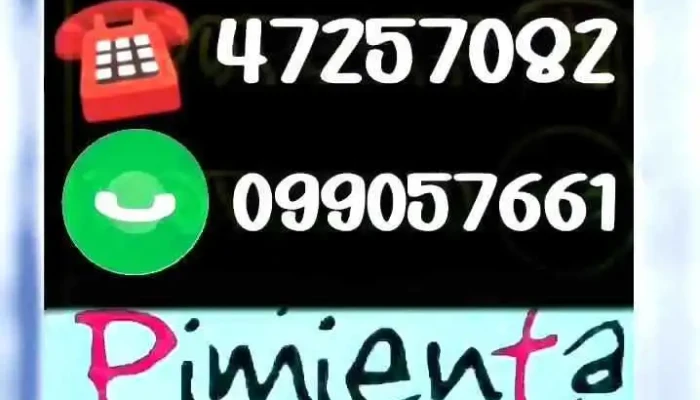 Terrenos En Venta -  Videos - Nuevo Paysandu