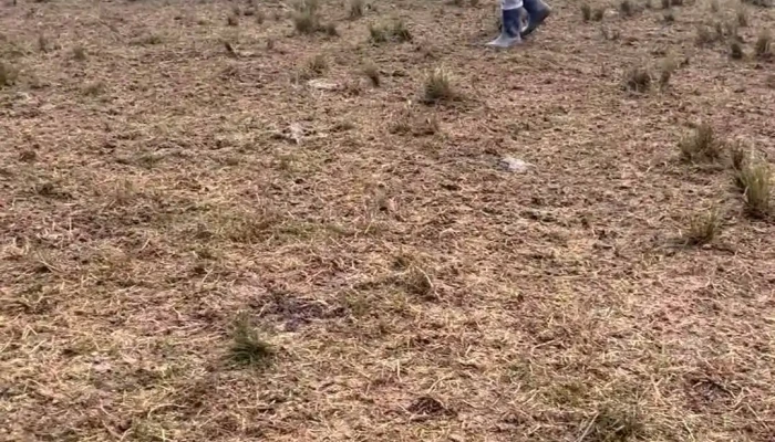 Testa Propiedades -  Del Propietario - Montevideo