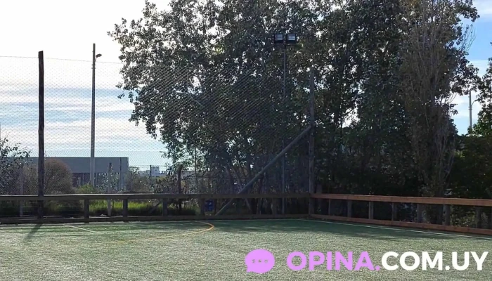 The Anglo School Carrasco -  Videos - Montevideo