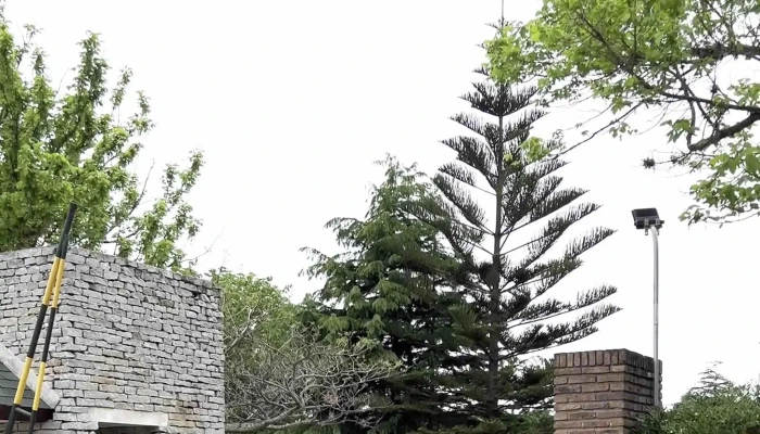 The British Schools - Montevideo