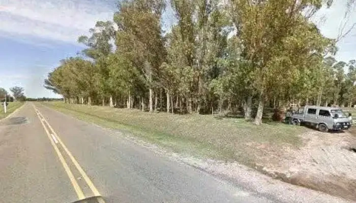 The Garzon School Precios - Manantiales