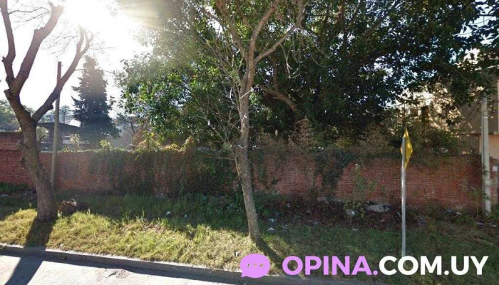 The Green Nature - Departamento De Montevideo