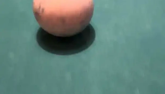 The House -  Videos - Pando