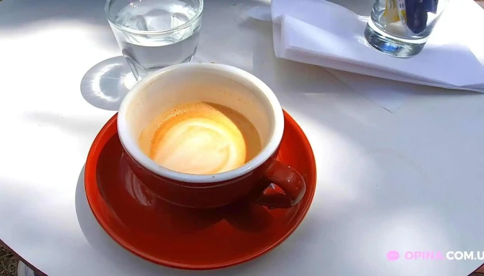 The Lab Coffee Roasters Museo Nacional De Artes Visuales Capuchino - Montevideo