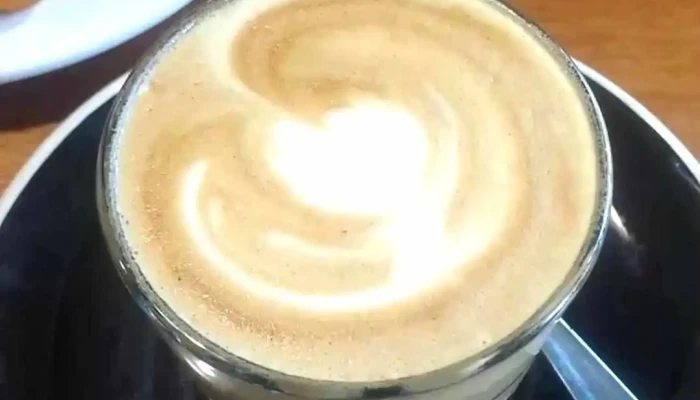 The Lab Coffee Roasters Pocitos Videos - Montevideo