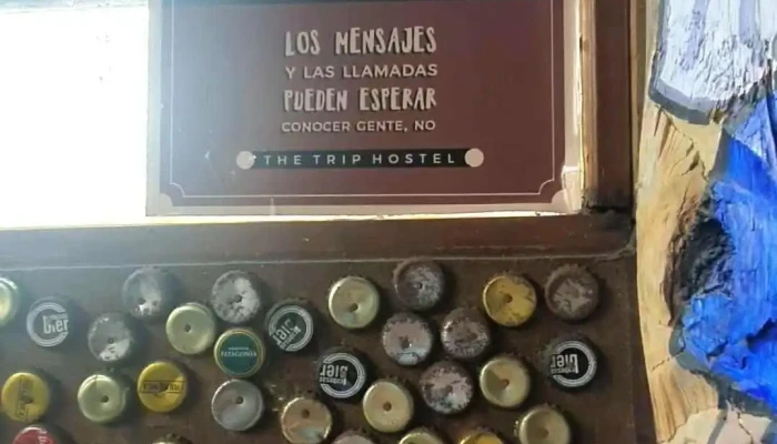 The Trip Hostel Bar Videos - Punta del Este