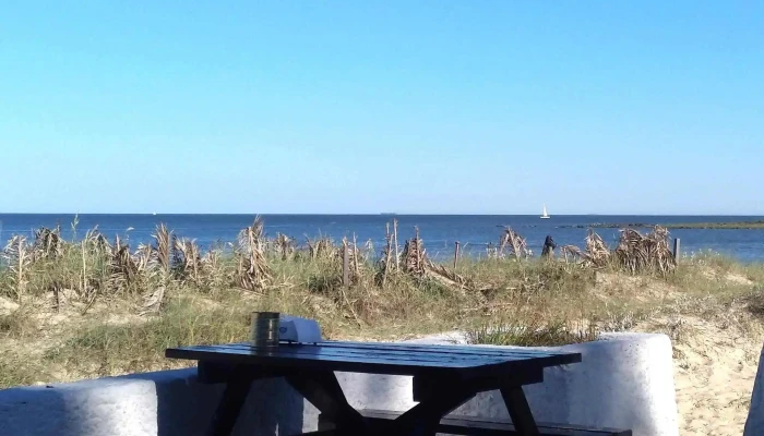 Thelma Parador -  Comentario 1 - Montevideo